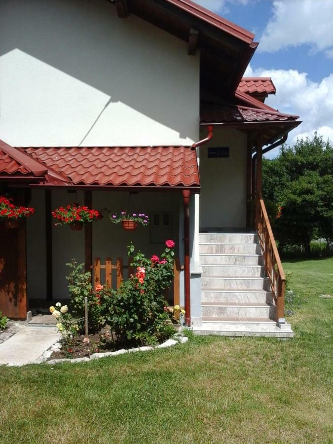 科雷尼察House Sara公寓 外观 照片